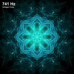 741 Hz Solfeggio Frequencies - Solfeggio Miracle Frequencies