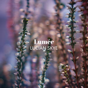 New Moon Drain - Lumée