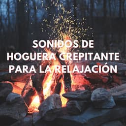 Luz De La Hoguera: Sonidos De Hoguera Crepitante Para La Relajación - Sonidos de fuego nocturno de Noom