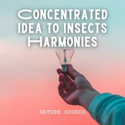 Nature Sounds: Concentrated Idea to Insects Harmonies - Nature Sounds Radio