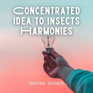 Nature Sounds: Concentrated Idea to Insects Harmonies - Nature Sounds Radio