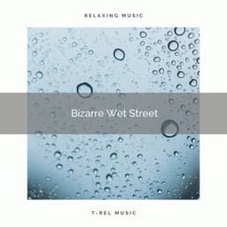 Bizarre Wet Street - Total ASMR