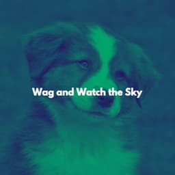 Wag and Watch the Sky - Música para Oficinas Musica De Fondo