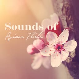 Sounds of Asian Flute: Dreamy Flute Music with Atmospheres for Zen Relaxation - Relaxing Flute Music Zone