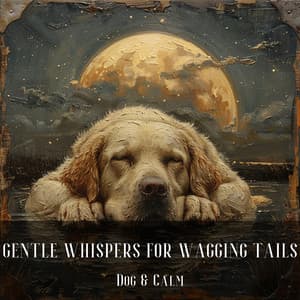 Gentle Whispers for Wagging Tails - Dog & Calm