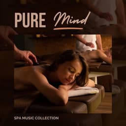 Pure Mind: Relaxing Massage Therapy - Spa Music Collection