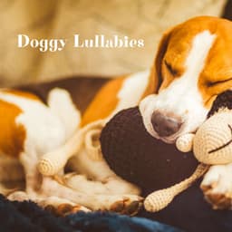 Doggy Lullabies: Soothing Music Therapy for Dogs for Peaceful Sleep - Sleepy Dogs Hz