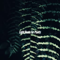 Light Beats for Plants - Reading Background Music Playlist