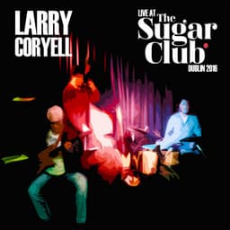 Live At The Sugar Daddy Club, Dublin 2016 - Larry Coryell