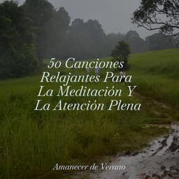 50 Canciones Relajantes Para La Meditación Y La Atención Plena - Música relaxante