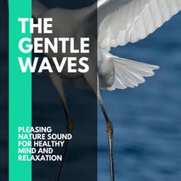The Gentle Waves - Pleasing Nature Sound for Healthy Mind and Relaxation - Incredible Oceans