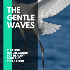 The Gentle Waves - Pleasing Nature Sound for Healthy Mind and Relaxation - Incredible Oceans