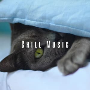 Chill Music: A Cat's Soothing Purr - Soothing Music Collection
