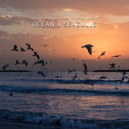 Ocean & Seagulls - Dr. John Douglas
