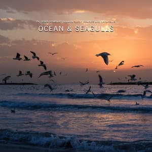 Ocean & Seagulls - Dr. John Douglas