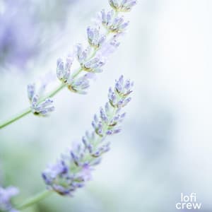 Cool Lofi For Focus - Study Zone