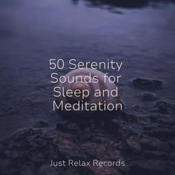 50 Serenity Sounds for Sleep and Meditation - Natural Sounds
