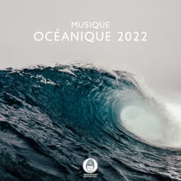 Musique océanique 2022: Des sons relaxants pour le sommeil, La relaxation et la méditation - Musique Zen!