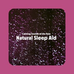 Calming Sounds of the Rain - Sounds of Nature Kingdom