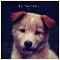 Morning Whisper - Dog Music