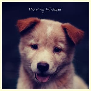 Morning Whisper - Dog Music
