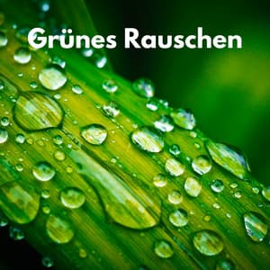 Grünes Rauschen - Grünes Rauschen