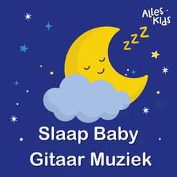 Slaap Baby Gitaar Muziek - Alles Kids