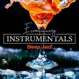 Evening Instrumentals - Sleep Jazz