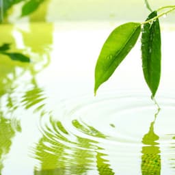 Liquid Reflections: Blissful Waters - Water FX