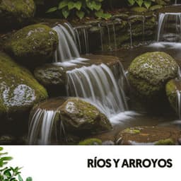 Ríos y Arroyos: Melodías de la tormenta - Ruido Blanco Hart