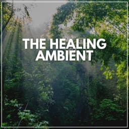 The Healing Ambient - Self Care Meditation