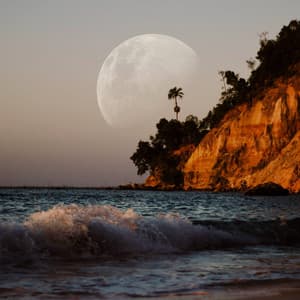 Peaceful Oasis: Relaxing Music Ocean for Inner Peace - Healing Music Collective