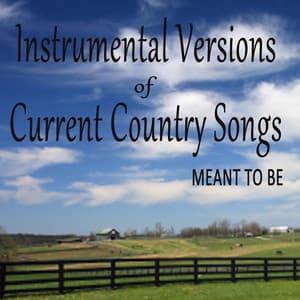 Instrumental Versions of Current Country Songs: Meant To Be - Steve Petrunak