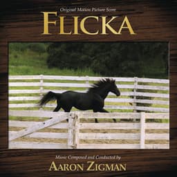 Flicka - Aaron Zigman