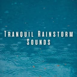 Tranquil Rainstorm Sounds - Rain Thunderstorms