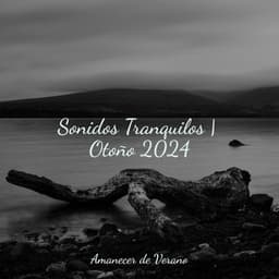 Sonidos Tranquilos | Otoño 2024 - Musica Romantica