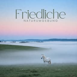 Friedliche Naturumgebung: Sammlung entspannender Naturgeräusche für Yoga, Meditation und Stressabbau - Heilende Geräusche Der Natur Academie