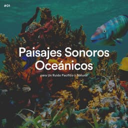 #01 Paisajes Sonoros Oceánicos para Un Ruido Pacífico y Natural - Olas del Mar