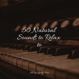 Piano for a Calming Ambience - Concentrate with Classical Piano