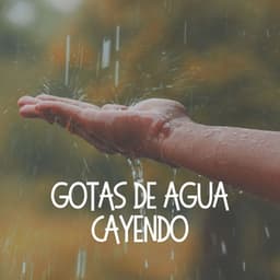 Gotas de Agua Cayendo - Sonidos De Lluvia