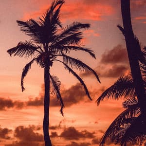 1 Coastal Night: Oceanic Serenity Suite - Ocean Sounds