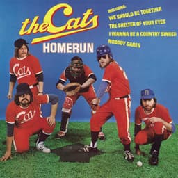 Homerun - The Cats