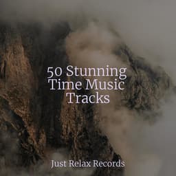 50 Stunning Time Music Tracks - Mantra para Dormir