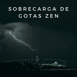 Sobrecarga De Gotas Zen - Registradores de lluvia