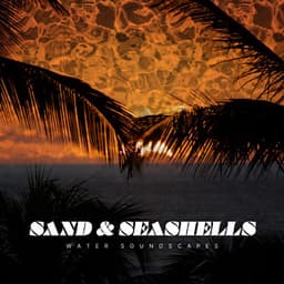 Sand & Seashells - Water Soundscapes