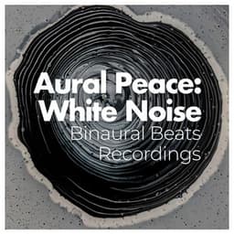 Aural Peace: White Noise - Binaural Beats Recordings