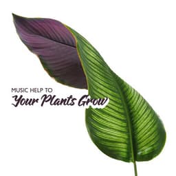 Music Help to Your Plants Grow: Deep Connecting with Nature - Healing Power Club
