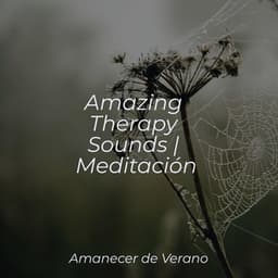 Amazing Therapy Sounds | Meditación - Ambiente