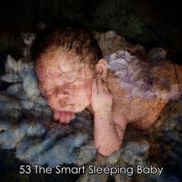 53 The Smart Sleeping Baby - Zen Life Relax