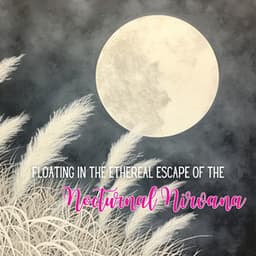 Floating in the Ethereal Escape of the Nocturnal Nirvana - Instrumental Sleeping Music